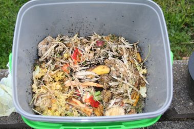 Bio Abfall aus der Küche